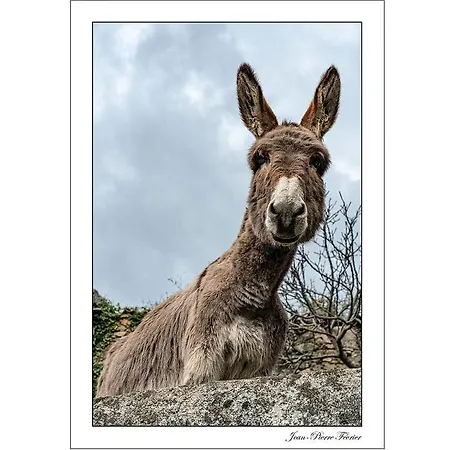 Apartamento Saint Cyprien Porto-Vecchio (Corsica)