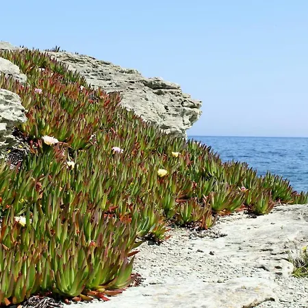 Apartamento Saint Cyprien