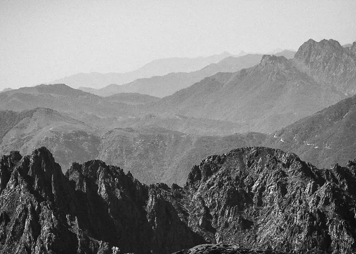 Apartment Saint Cyprien