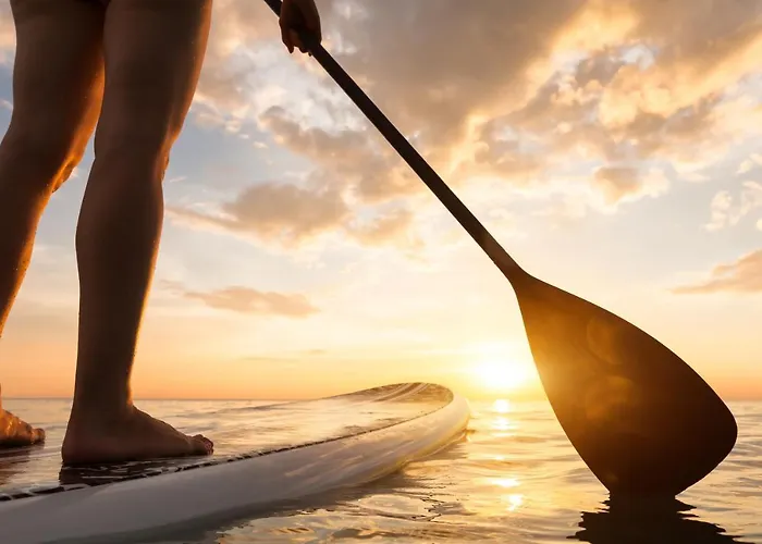 Apartment Saint Cyprien