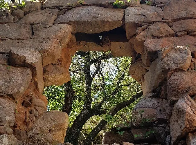 Apartment Saint Cyprien