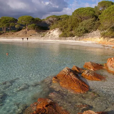 Saint Cyprien