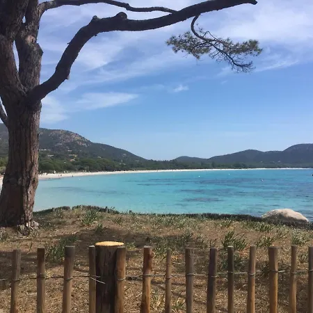 Appartement Saint Cyprien Porto-Vecchio (Corsica)