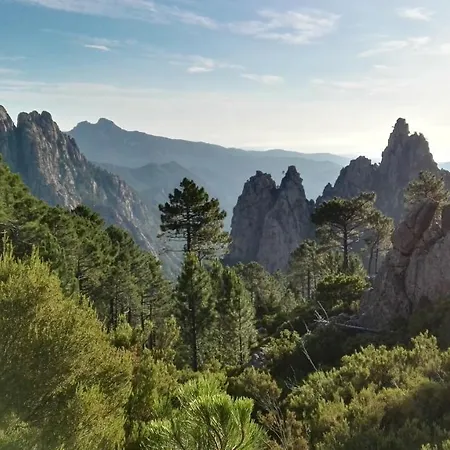 Saint Cyprien Апартаменты Порто-Веккьо