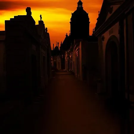 Saint Cyprien * Порто-Веккьо
