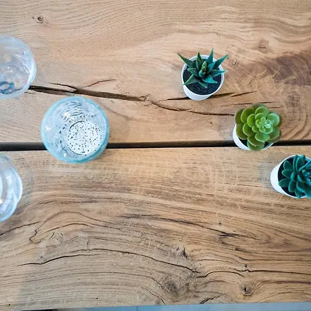 Saint Cyprien Appartement