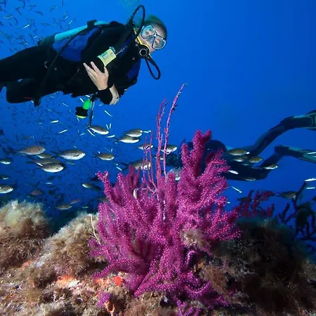 Saint Cyprien Appartement Porto-Vecchio (Corsica)