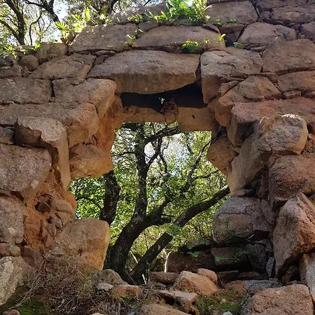 Апартаменты Saint Cyprien