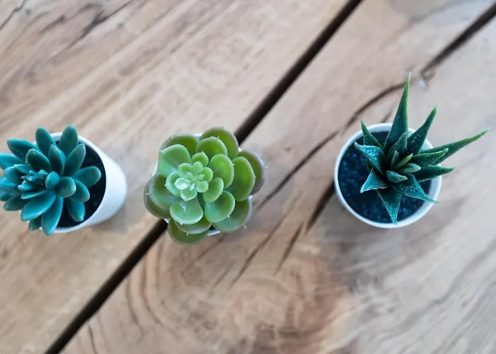 Résidence Saint Cyprien Porto Vecchio