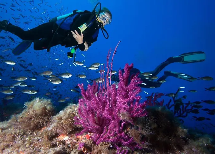 Résidence Saint Cyprien Appartamento Porto Vecchio