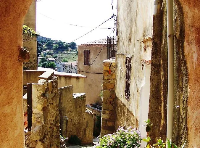 Saint Cyprien Lägenhet *